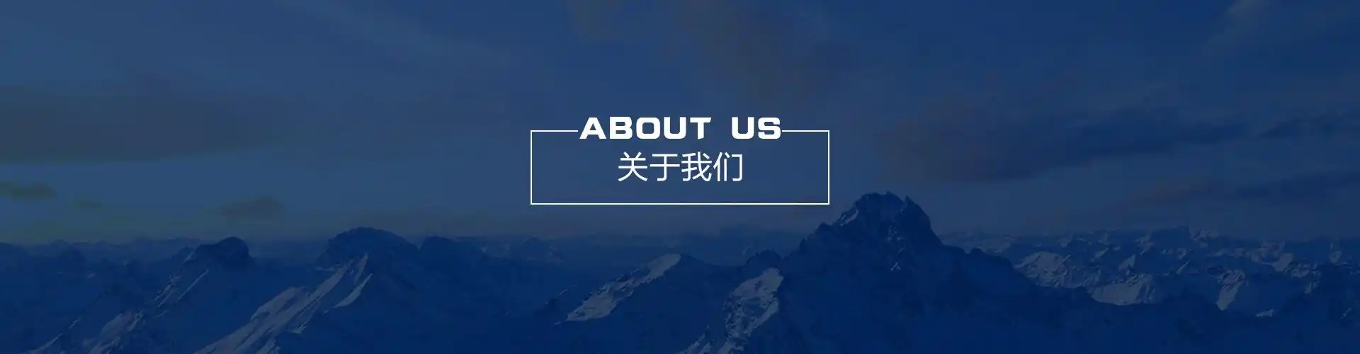 关于我们
